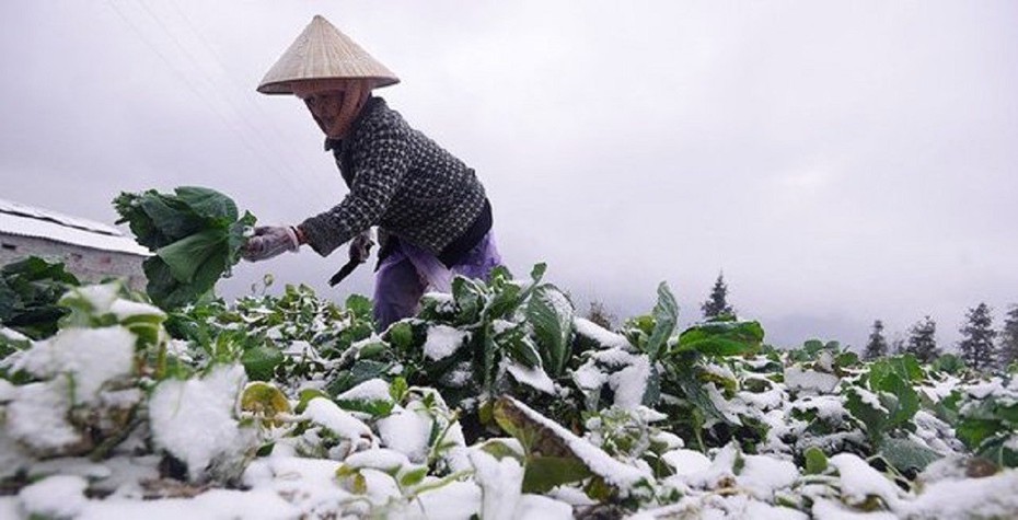 Thông tin về miền Bắc sắp đón đợt rét sâu nhất từ đầu mùa đông năm nay