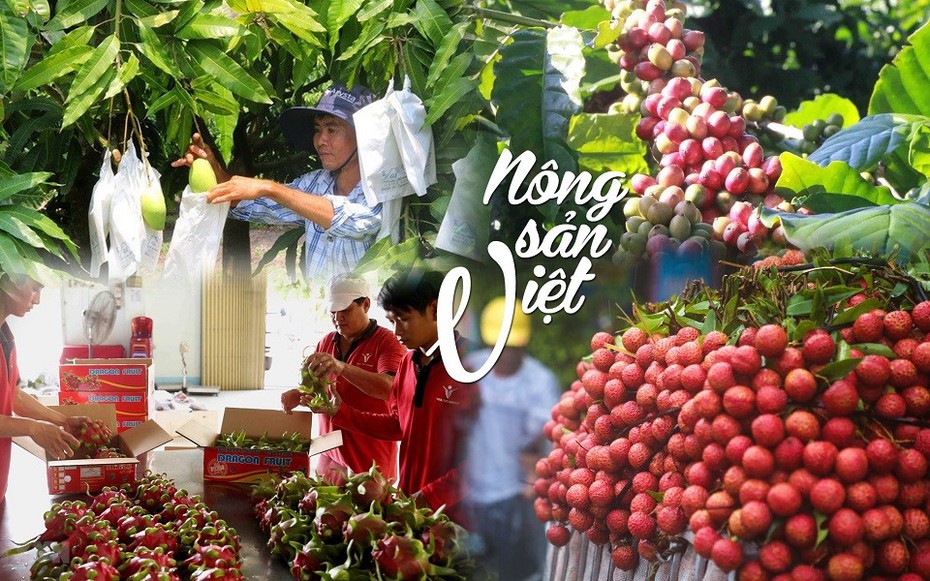 Nỗ lực tìm hướng đi bền vững cho nông sản chủ lực “xuất ngoại”