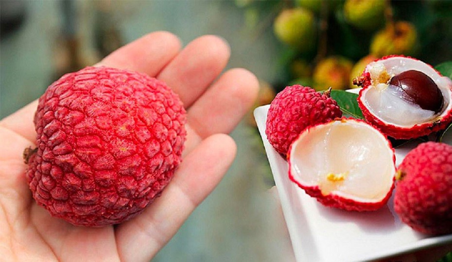 Quả vải ngon nhưng ăn thế nào tránh "nóng trong người"