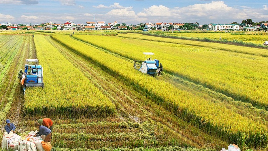 Sản xuất nông nghiệp ghi nhận tốc độ tăng trưởng cao