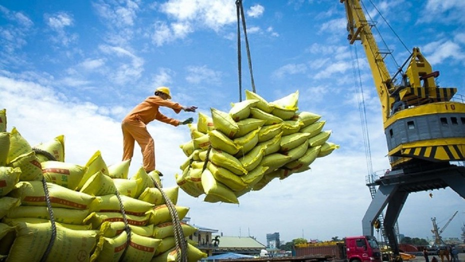 Thị trường gạo toàn cầu “nóng” bởi thông tin cấm xuất khẩu gạo của nhiều nước