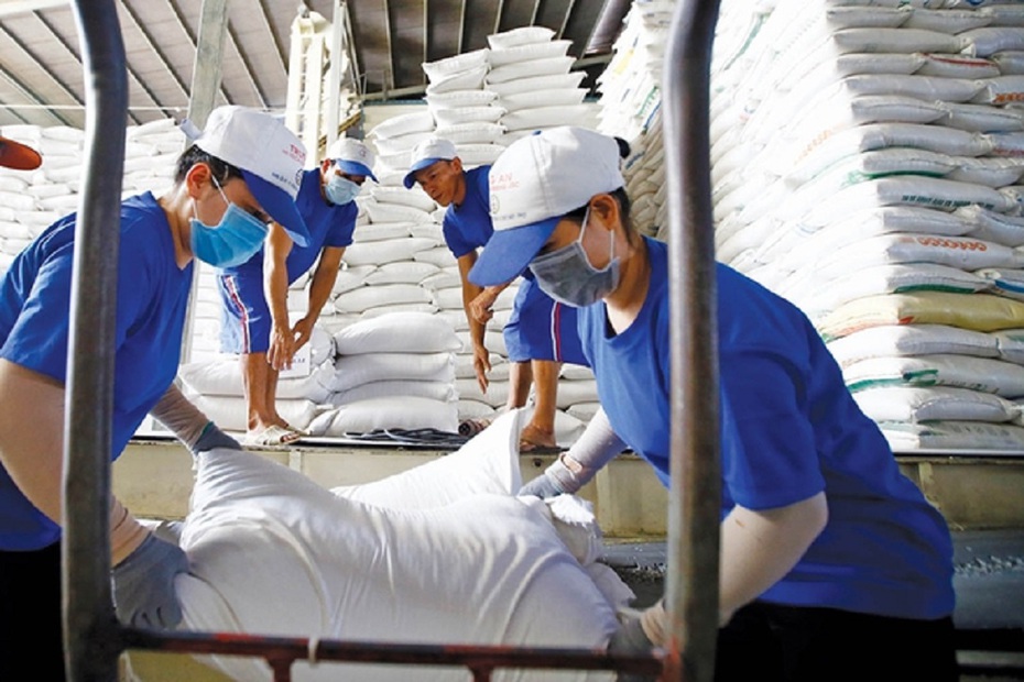 Giá gạo biến động, dự báo xuất khẩu gạo của Việt Nam đạt kỷ lục mới