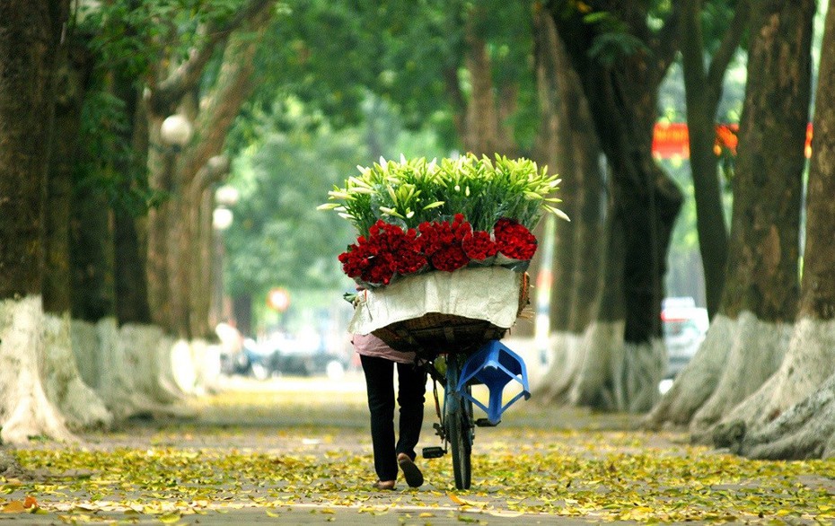 Dự báo thời tiết ngày 30/9/2023: Khả năng hết mưa, trời mát