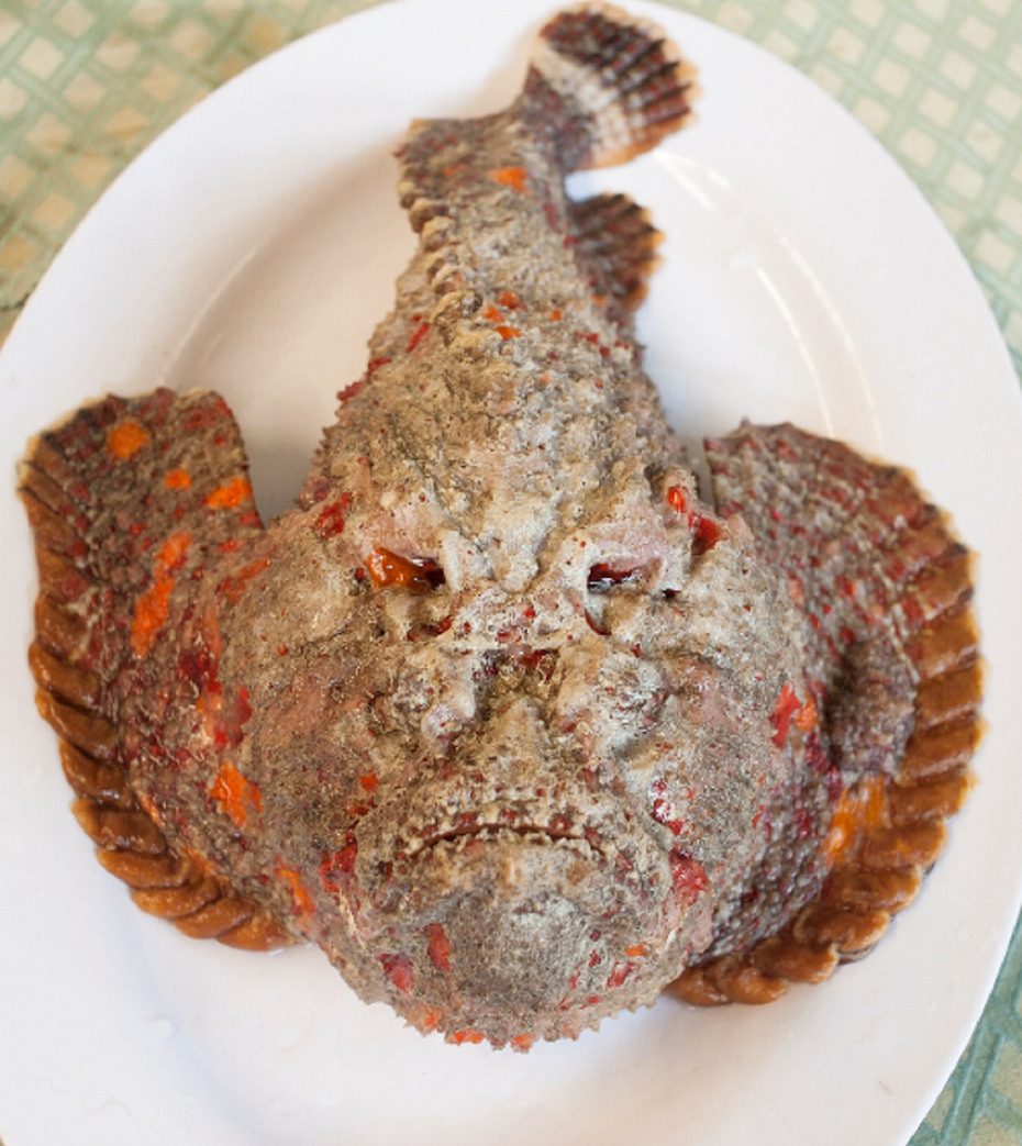 Loài cá "xấu xí nhất thế giới", nay lên đĩa thành hải sản giá gần 2 triệu đồng
