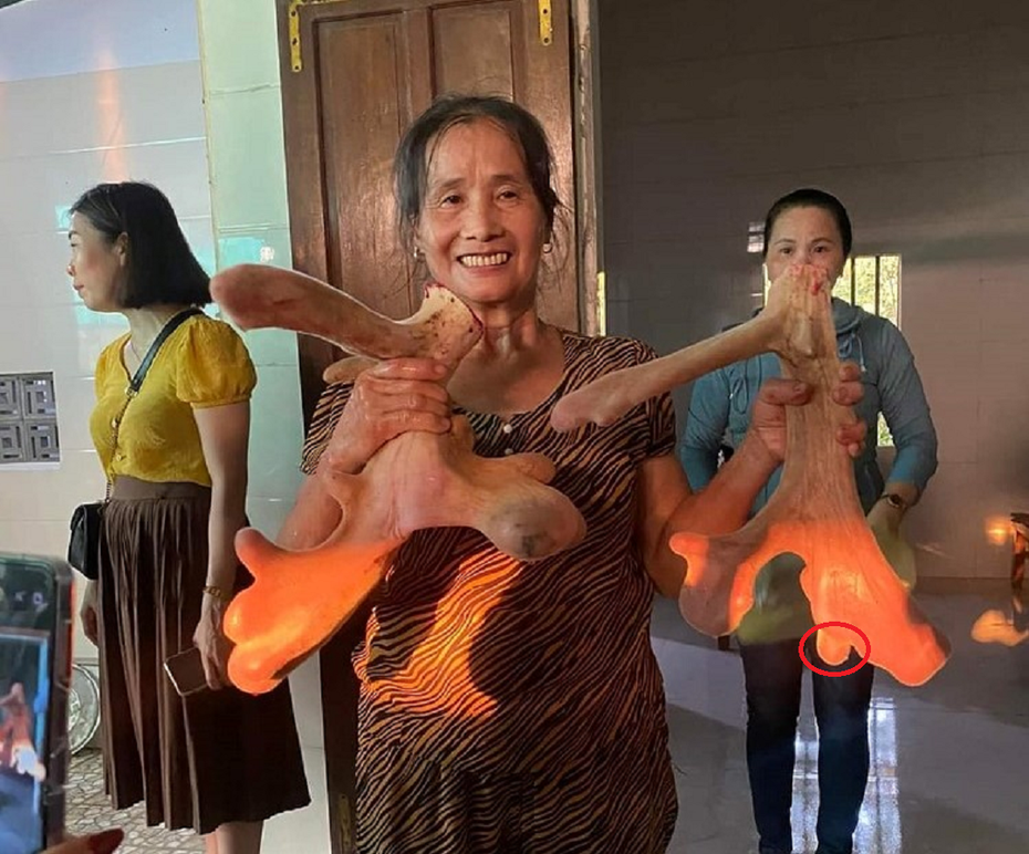 Lão nông mang 20 triệu mua con vật "vừa lạ vừa quen" về nuôi, nhẹ nhàng đút túi 400 triệu/năm