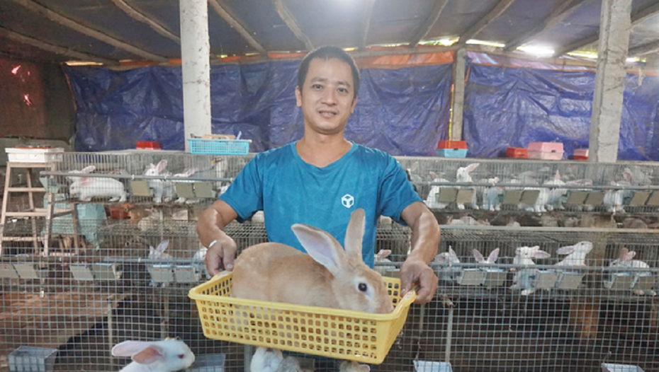 Loay hoay chưa tìm được việc, anh nông dân bèn nuôi con vật "khó tính" nào ngờ có 180 triệu đồng/năm