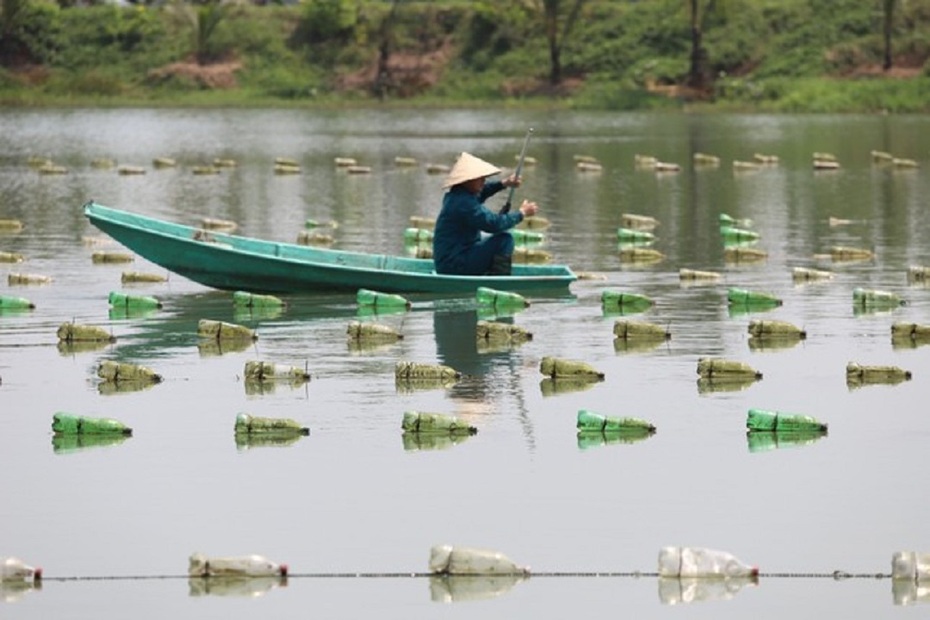 Liều mình nuôi con "nằm lì dưới ao", anh nông dân thu hàng trăm triệu