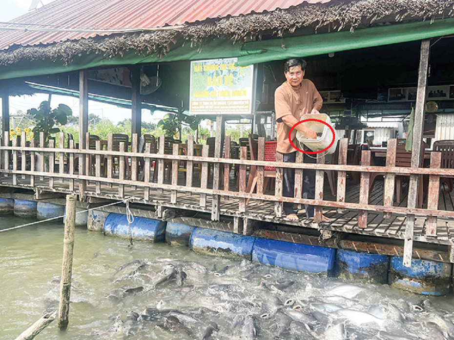 Anh nông dân thu lãi 7 tỷ/năm nhờ nuôi con đặc sản "thích ở dưới nước"