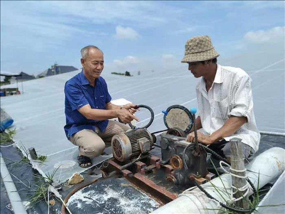 Anh nông dân "bỏ túi" 50 tỷ đồng nhờ nuôi con đặc sản "thích nước"