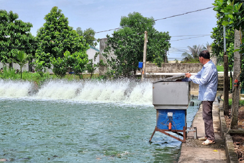 Anh nông dân đút túi 4 tỷ đồng nhờ nuôi con "to bự" quen thuộc