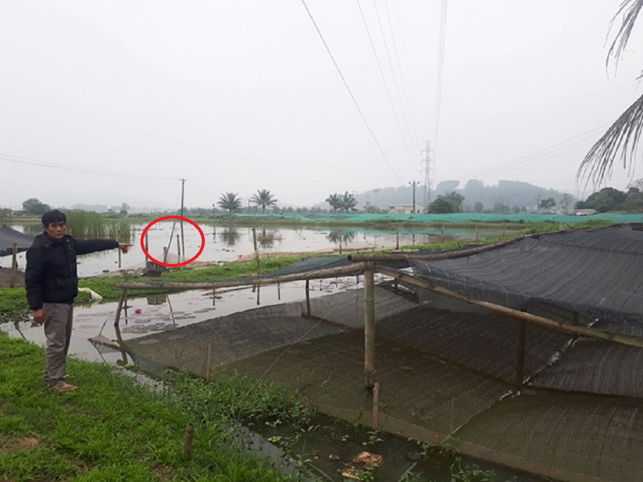 Anh nông dân nhẹ nhàng lãi 600 triệu đồng nhờ nuôi con đen sì "hiền như cục đất"