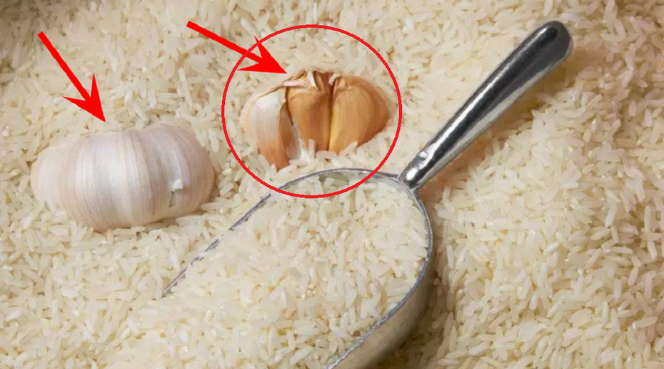 Vùi một củ tỏi vào thùng gạo, hiệu quả bất ngờ hàng xóm còn tấm tắc khen