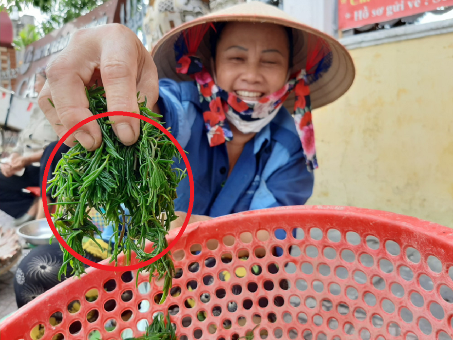 Ăn 1 nắm rau này như "nhân sâm của người nghèo", tên gọi cũng gây bất ngờ