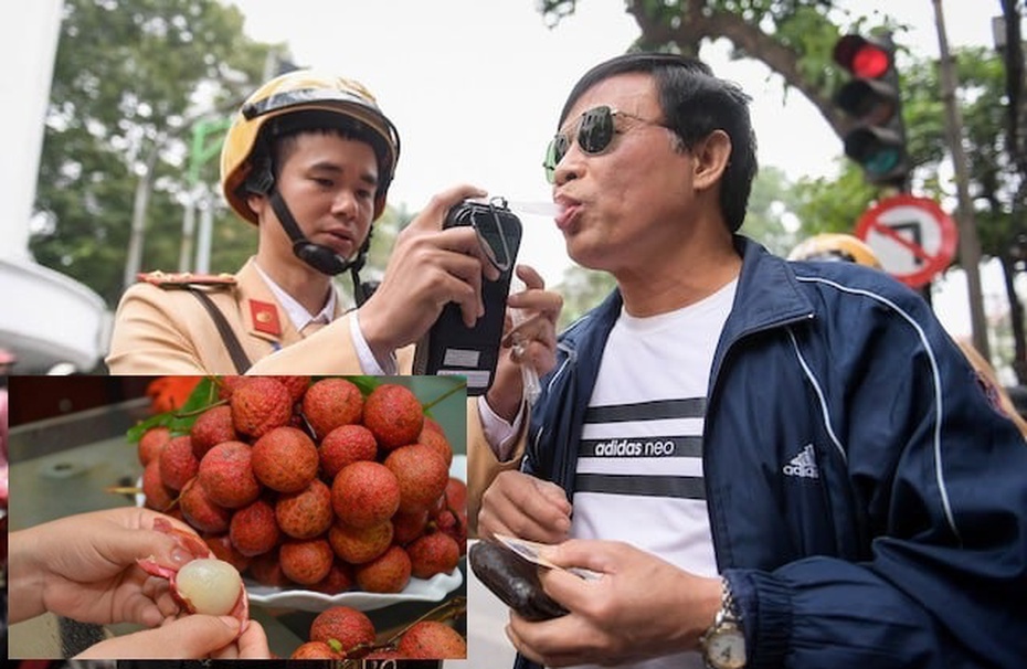 Bộ GTVT lên tiếng về thông tin ăn trái cây có nồng độ cồn cũng bị xử phạt