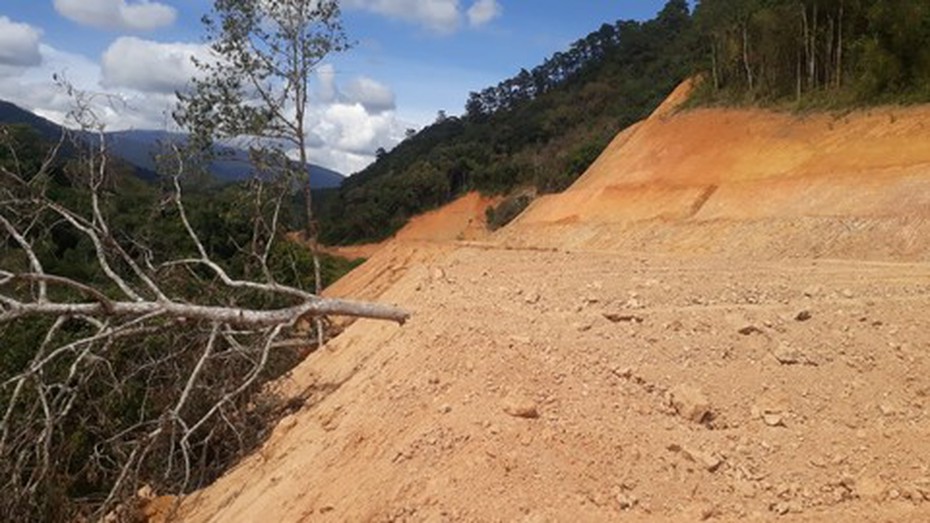 Lâm Đồng: Chuyển hồ sơ vụ phá rừng đến cơ quan điều tra