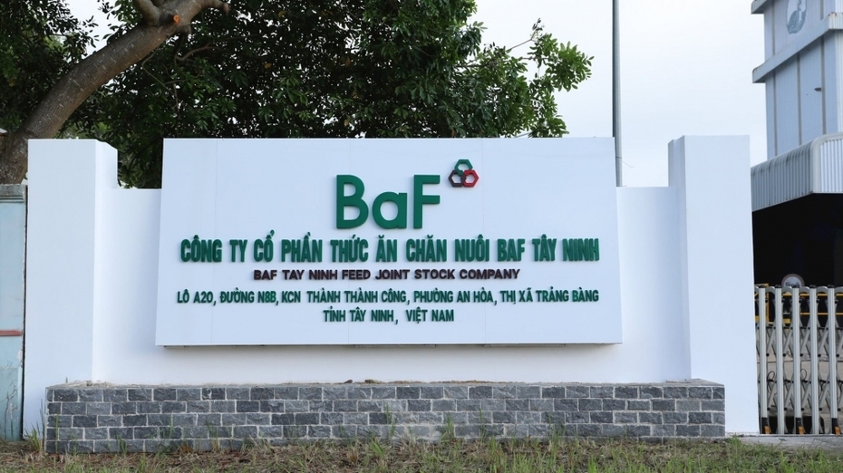 BAF: Nghịch lý doanh thu tăng nhưng lợi nhuận giảm