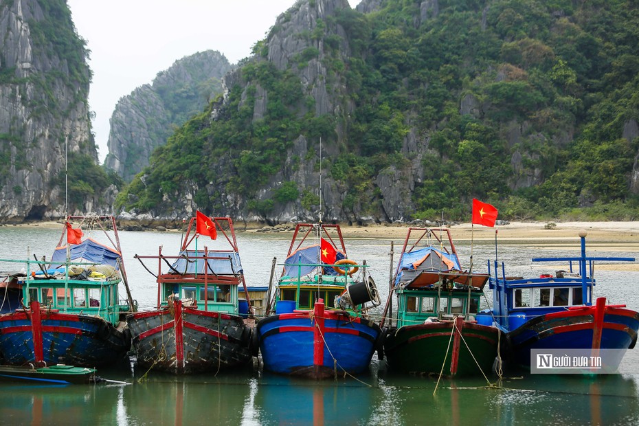 Gỡ “thẻ vàng” IUU: Thực hiện tại địa phương vẫn còn hạn chế