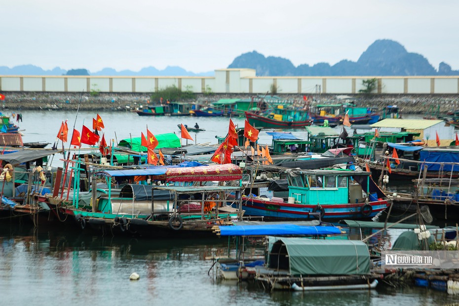 Bộ trưởng Lê Minh Hoan nêu lý do 6 năm chưa thể gỡ được "thẻ vàng" IUU