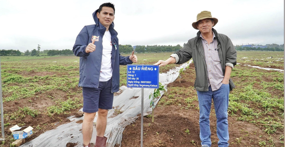 HAGL: 1.000ha trồng sầu riêng sẽ mang lại doanh thu đáng kể