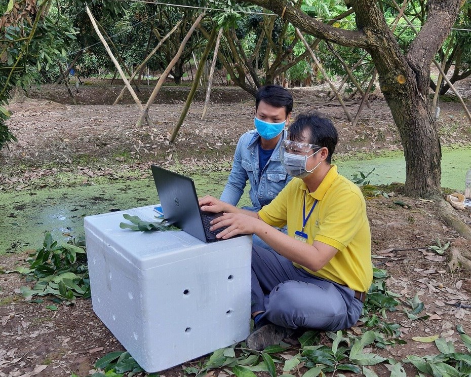 Khi nông dân được tiếp sức chinh phục sàn thương mại điện tử