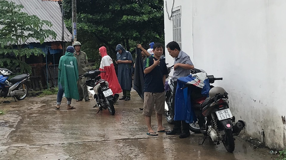 TP.HCM: Phát hiện đàn heo hơn 70 con nghi bị dịch tả heo Châu Phi