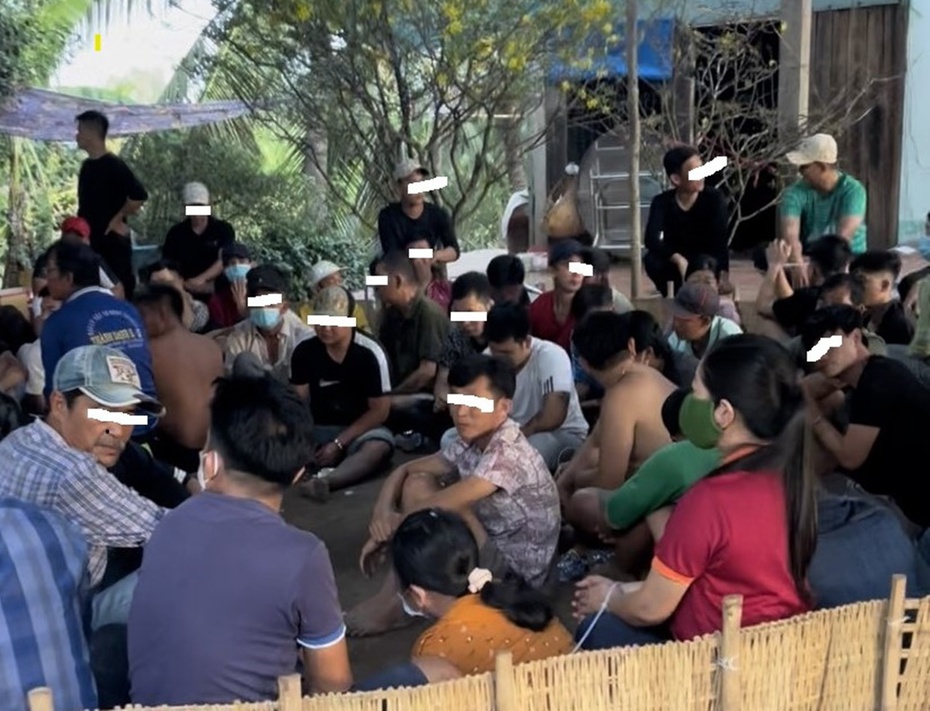 Long An: Triệt phá thành công tụ điểm đá gà quy mô lớn