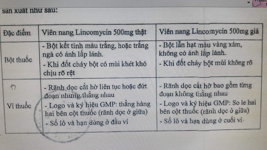 Cục Quản lý Dược yêu cầu truy tìm thuốc Lincomycin 500mg giả trên thị trường