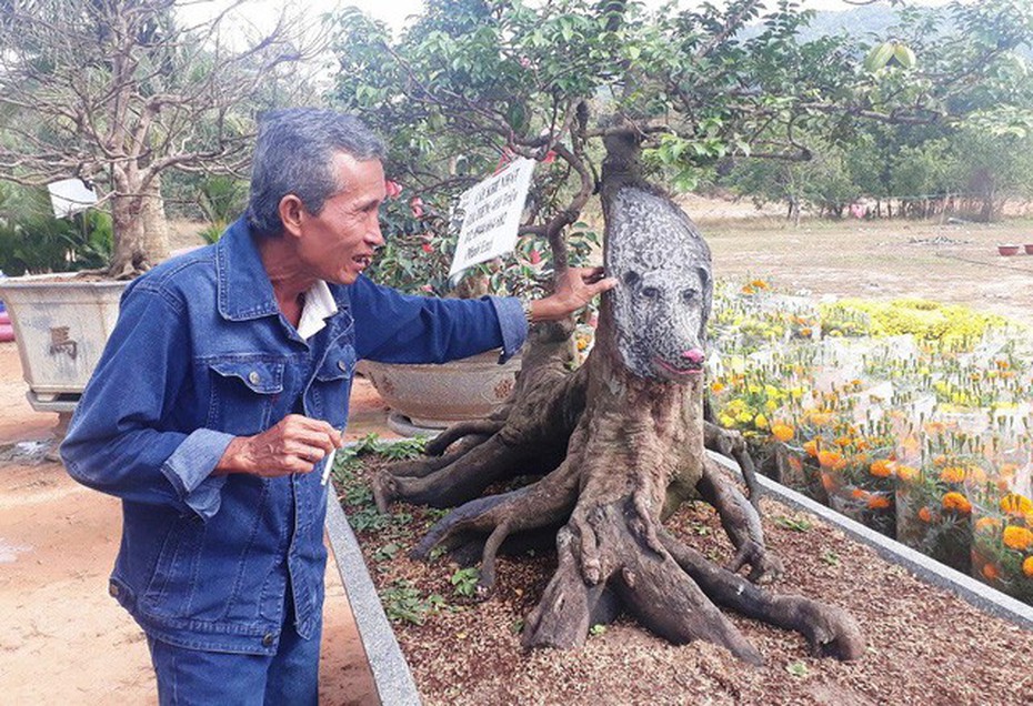 Cây khế hình chó độc lạ có giá 400 triệu đồng