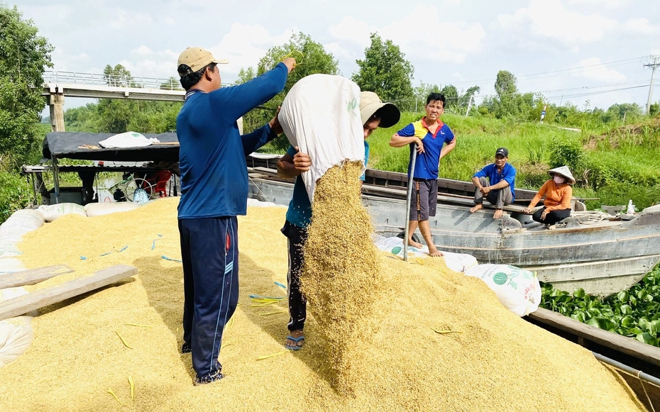 Đẩy mạnh xuất khẩu gạo, tìm giải pháp hỗ trợ từ nguồn tín dụng