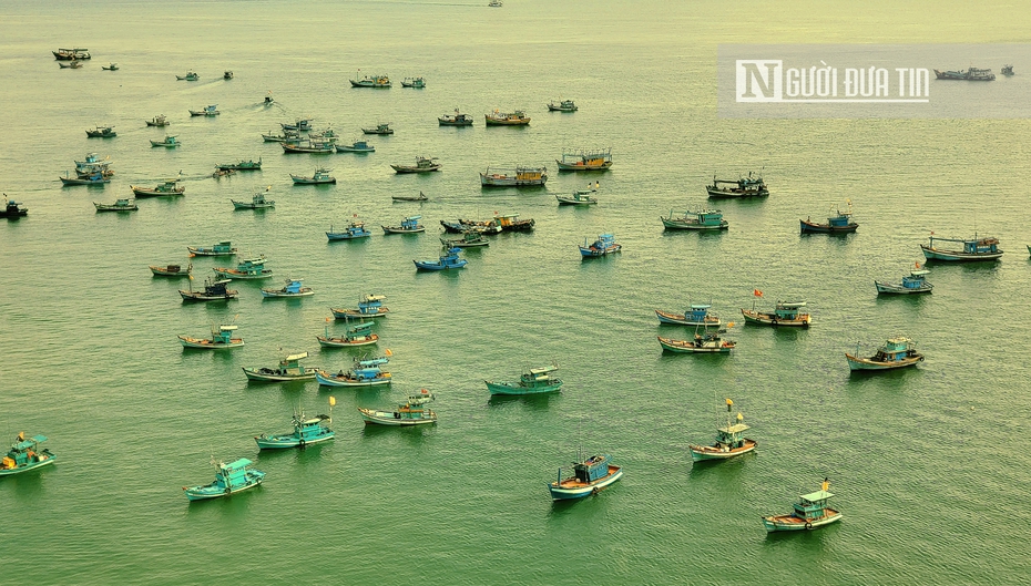 Kiên Giang: Cấm khai thác nghêu, sò, hến vùng ven biển trong 6 tháng