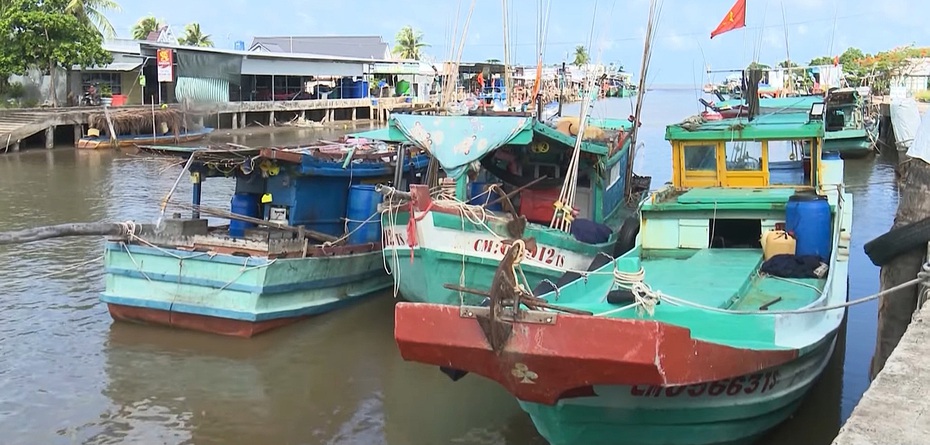 Cà Mau: Tăng cường các biện pháp khắc phục hậu quả do thiên tai gây ra