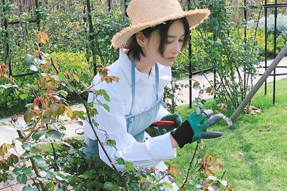 Bỏ lại hào quang Trương Hinh Dư đam mê làm vườn, hạnh phúc viên mãn bên soái ca quân nhân