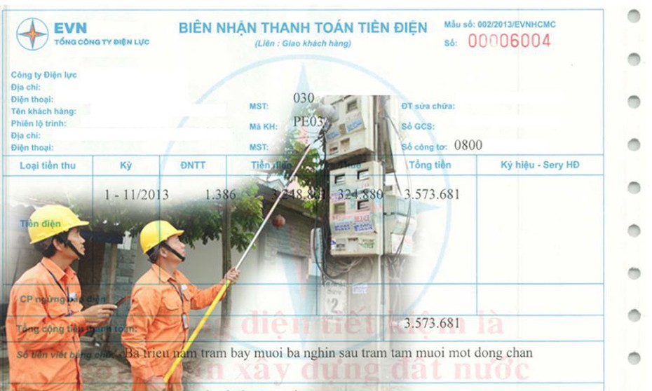 Chính phủ: Giá điện không "gánh" lỗ đầu tư ngoài ngành của EVN