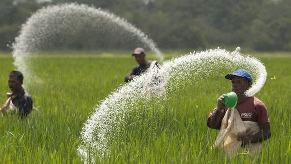 Nghịch lý: Phân bón đỏ mắt trông mong ngày được… "chịu thuế"