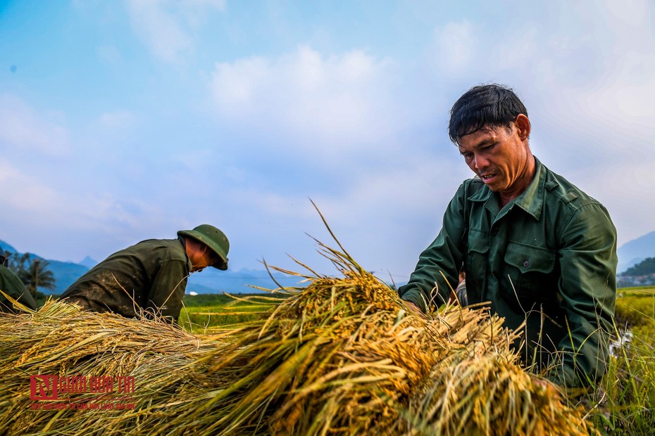 Cách nào cải thiện khả năng chống chịu của hệ thống lương thực Việt Nam?