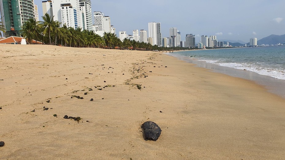 Phát hiện dầu vón cục dạt vào bãi biển ở Nha Trang