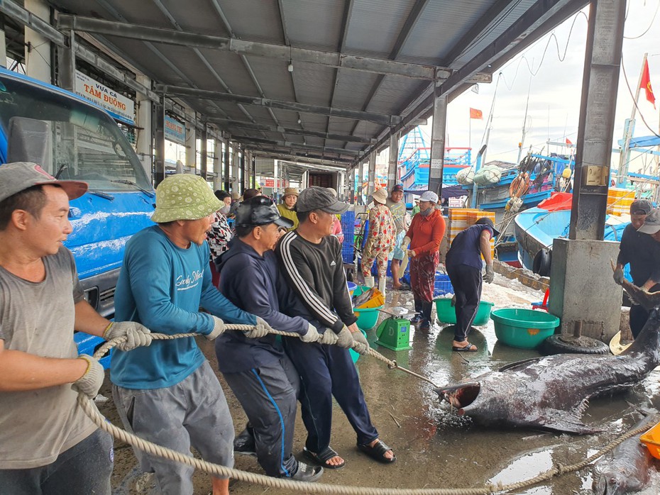 Khánh Hòa sẽ cưỡng chế nếu người dân không chịu di dời đến nơi an toàn