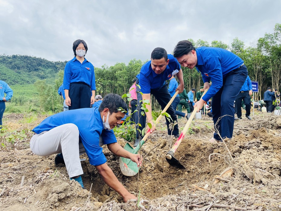 Khánh Hòa: Hàng ngàn cây xanh được trồng mới trong mùa xuân