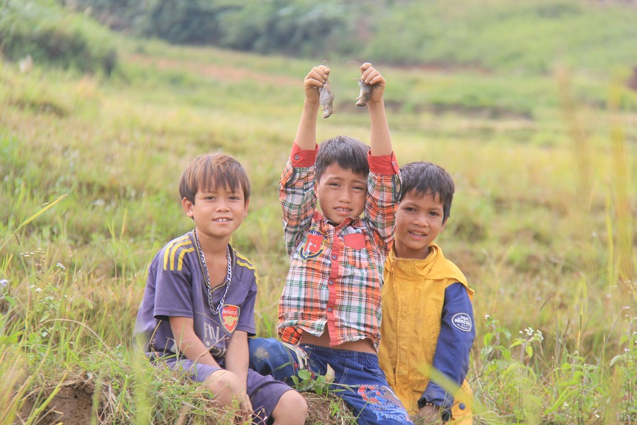 Ngày xuân lên Tây Nguyên thưởng thức món “chuột quý tộc” trên đỉnh núi Ngọc Linh