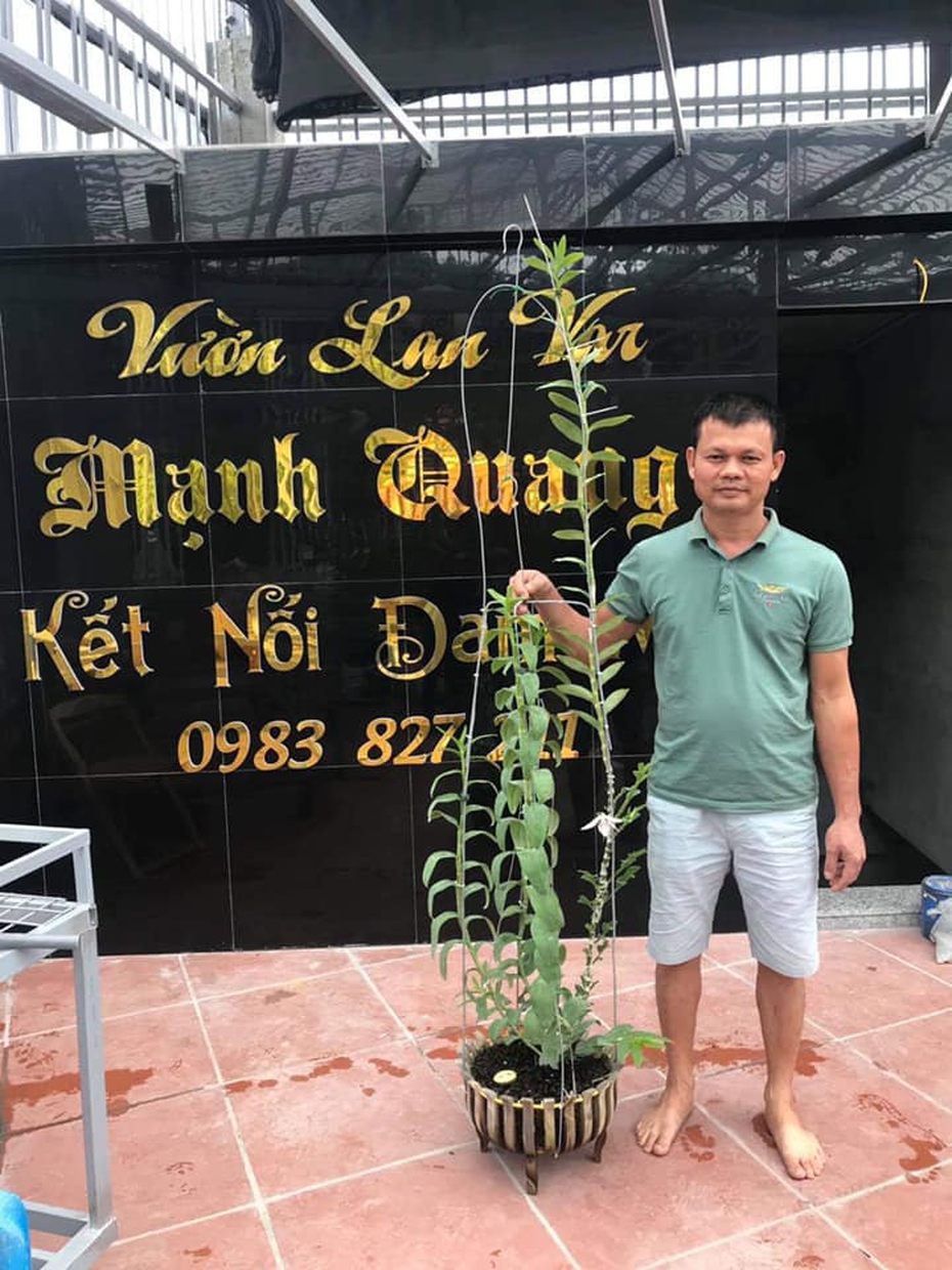 Anh Bùi Mạnh Quang: Ấp ủ những dự định lớn khi dấn thân vào nghề lan