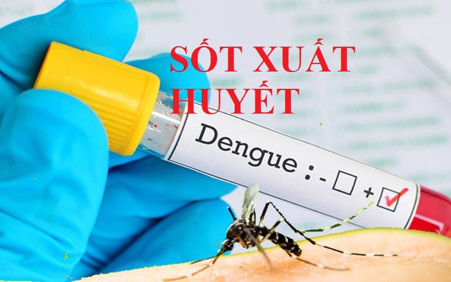 Hà Tĩnh phát hiện thêm 2 ổ dịch sốt xuất huyết