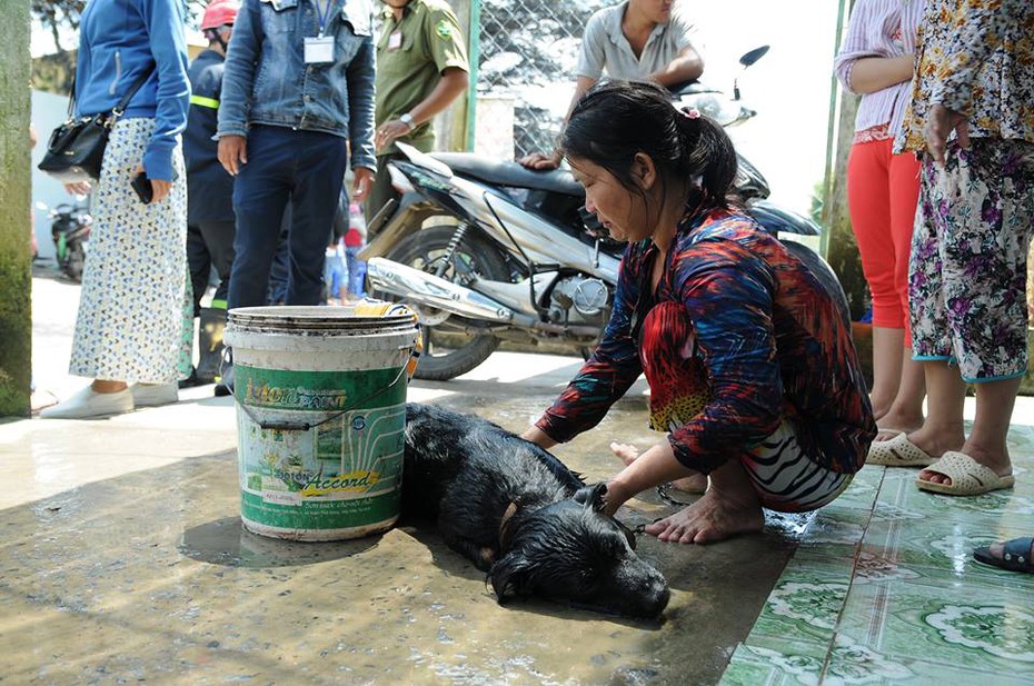 Rò rỉ khí amoniac: 4 người bị thương, người dân vội vàng di tản