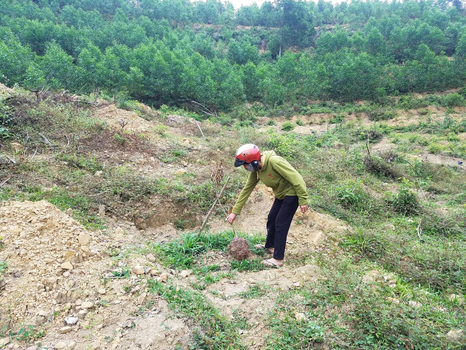 Vụ hàng chục cây bưởi của người dân bị kẻ gian bứng gốc: Lộ manh mối nghi phạm?