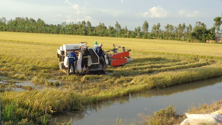 Đối tượng lái máy gặt đập tông 3 ông cháu thương vong ra đầu thú