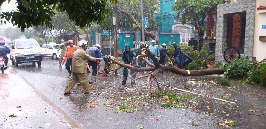 Bão số 9 vào Bà Rịa - Vũng Tàu: Đường phố ngập nặng, cây gãy đổ hàng loạt