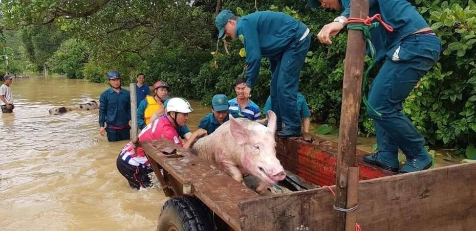 Đồng Nai: Năm giờ vật lộn với nước lũ, giải cứu 6 người dân mắc kẹt ở cù lao