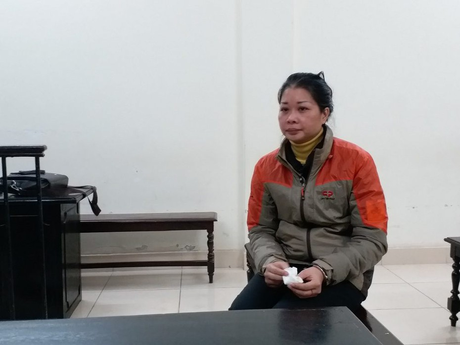 Trả hồ sơ vụ nữ luật sư tập sự lừa đảo