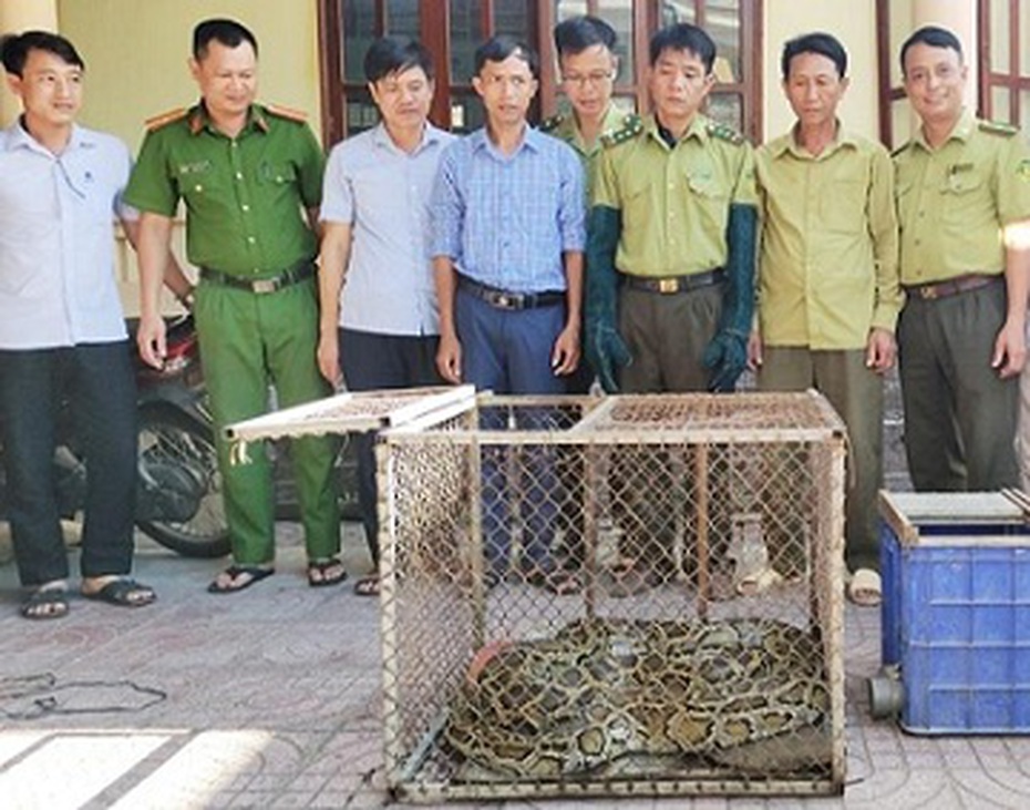 Nhiều lần bị mất vật nuôi, cả làng tá hỏa phát hiện trăn “khủng”