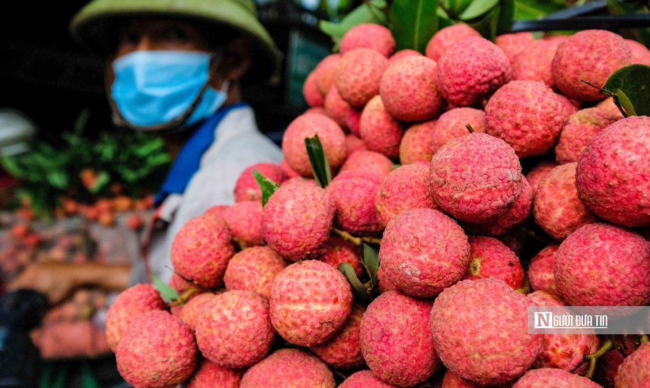 Làm sao để tăng xuất khẩu chính ngạch nông sản sang Trung Quốc?