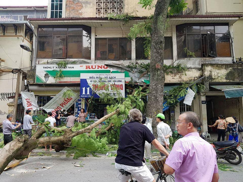 Hà Nội: Cây xanh đổ giữa trưa, đè bẹp 1 ô tô và 3 xe máy